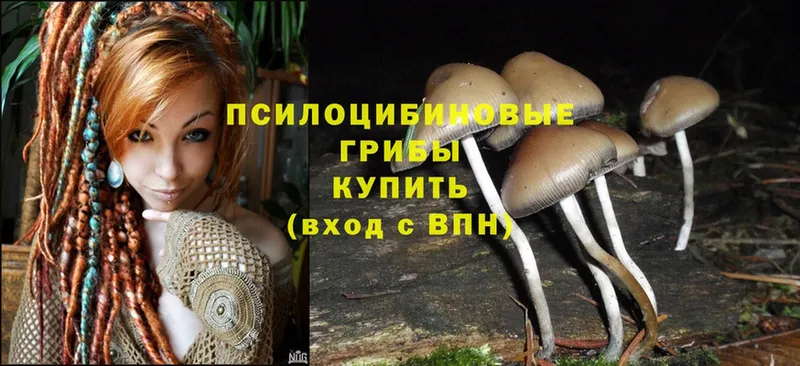 купить закладку  Собинка  Галлюциногенные грибы MAGIC MUSHROOMS 